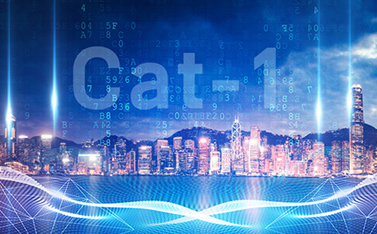 工信部重磅發(fā)文，Cat-1/NB-IoT再次站上新風(fēng)口